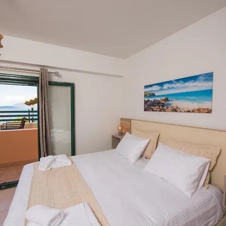 Willa Amelia Nikiana