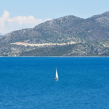 Villa Amelia